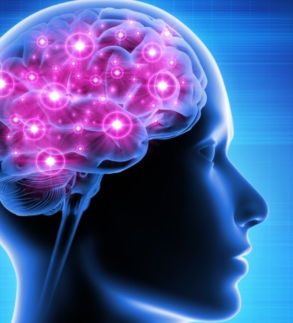 Tout comprendre sur le CBD et la neurogenèse !