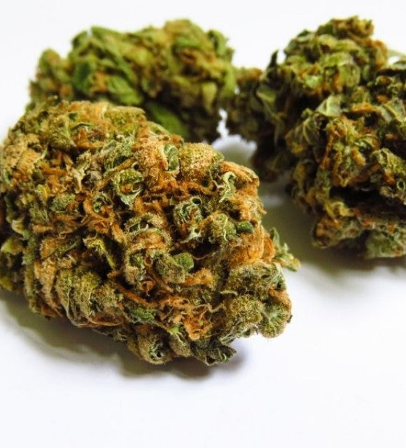 Les grandes variétés de cannabis : Haze, Skunk, Kush et Diesel