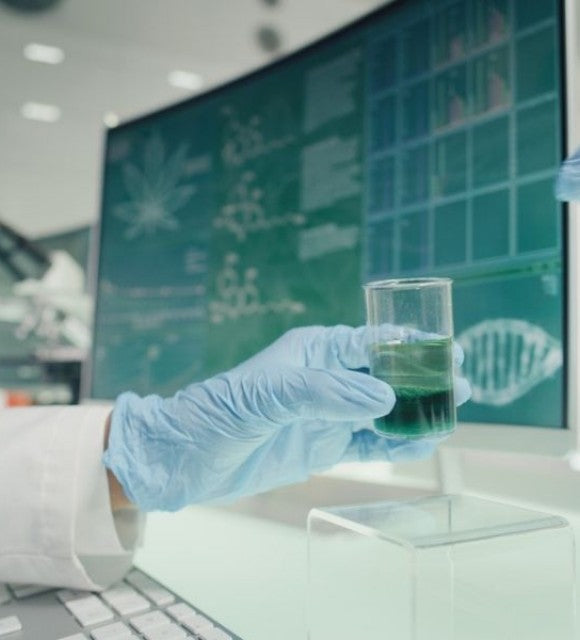Les recherches scientifiques les plus importantes dans le domaine du CBD