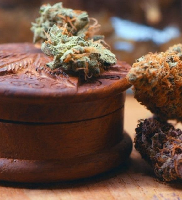 L’expérimentation du cannabis thérapeutique par décret