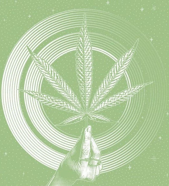Pourquoi consommer du cannabis sans THC ?