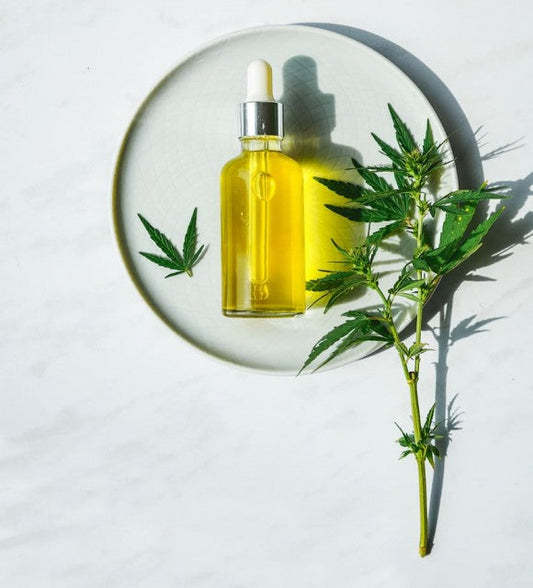 Huile de CBD, ses bienfaits et ses vertus