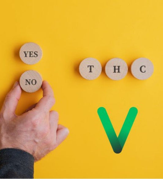 THCV : un cannabinoïde énigmatique qui divise