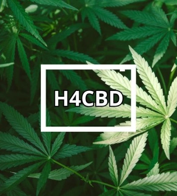 H4CBD : définition, effets, statut juridique et différences avec le CBD