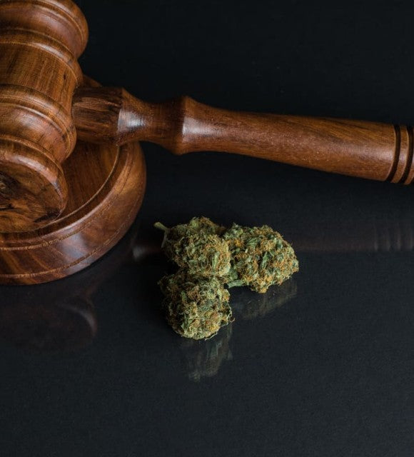 Le CBD est-il illégal en France ?