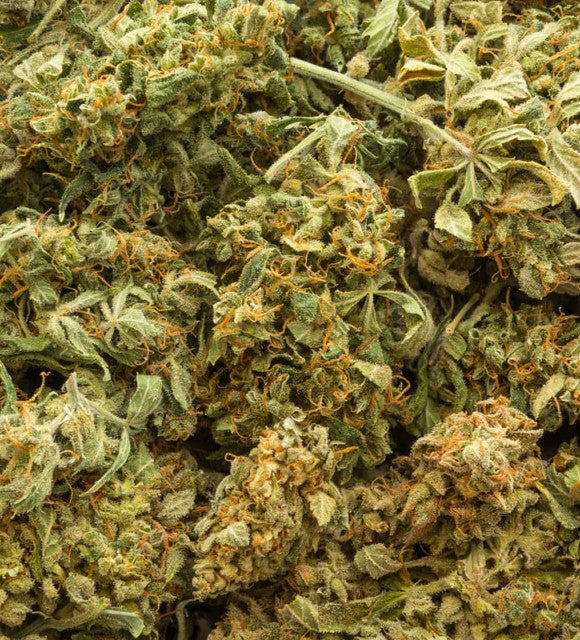 Comment se procurer de la beuh ou weed légale au meilleur prix ?