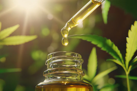 Comprendre la différence entre le CBD spectre complet et large : Quel choix pour vous ?