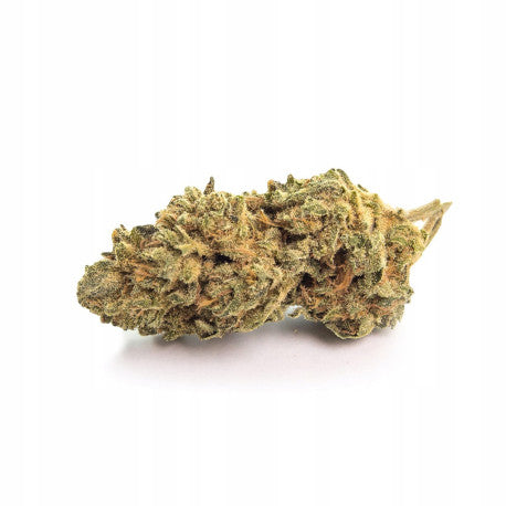 Skunk XL CBD 19,3% - Fleur CBD Indoor