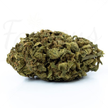 OG Kush CBD 15,4% - Fleur CBD Indoor