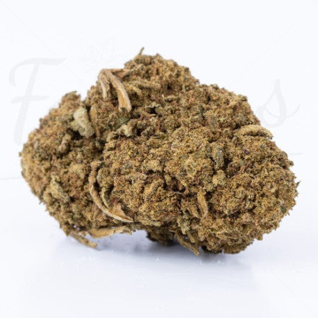 Cannabomb CBD 23% - Fleur CBD Indoor