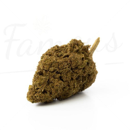 Jack Herer CBD 17,3% - Fleur CBD Indoor