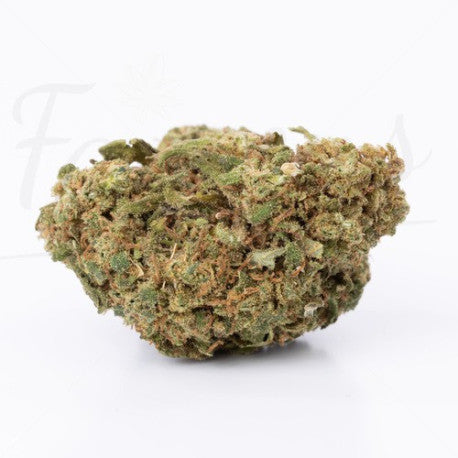 White Widow CBD 14,4% - Fleur CBD Greenhouse