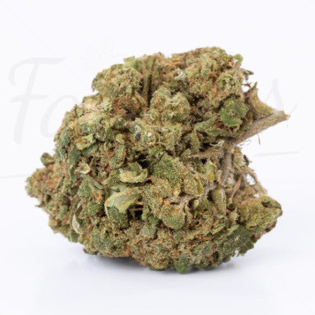 Critical CBD 17,2% - Fleur CBD Indoor