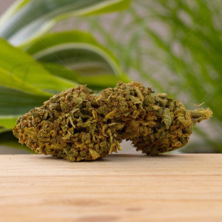 Amnesia Haze CBD 21,4% - Fleur CBD Indoor