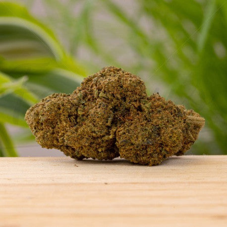 Budda Zen CBD 19.5% - Fleur CBD Indoor