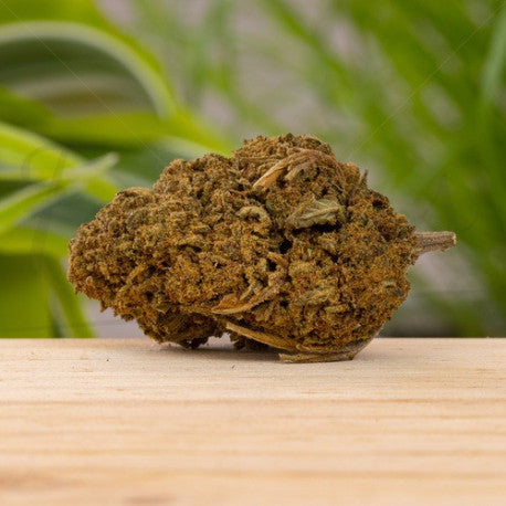 Cannabomb CBD 23% - Fleur CBD Indoor
