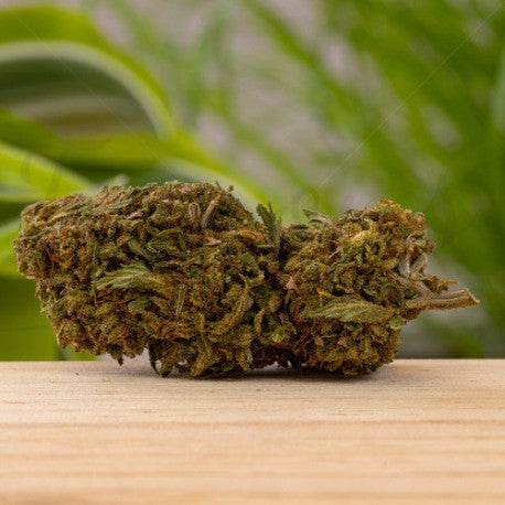 Critical CBD 17,2% - Fleur CBD Indoor