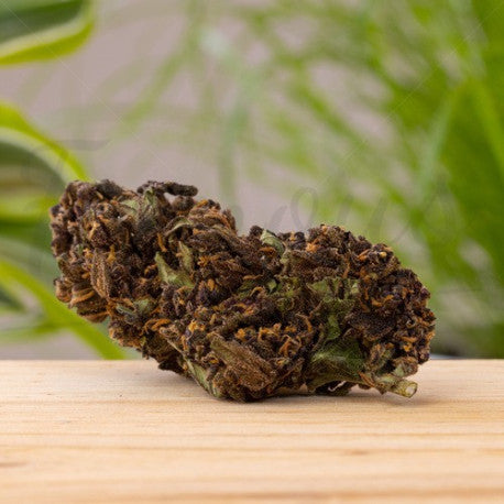 Purple Haze CBD 20,7% - Fleur CBD Indoor