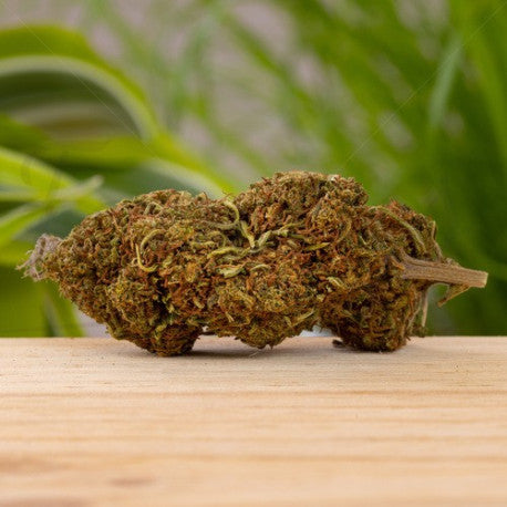 Silver Haze CBD 18,3% - Fleur CBD Greenhouse