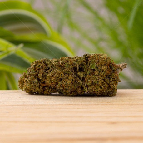 White Widow CBD 14,4% - Fleur CBD Greenhouse