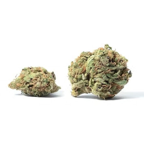 Sour Cookies CBD 15,4 % - Fleur CBD Greenhouse
