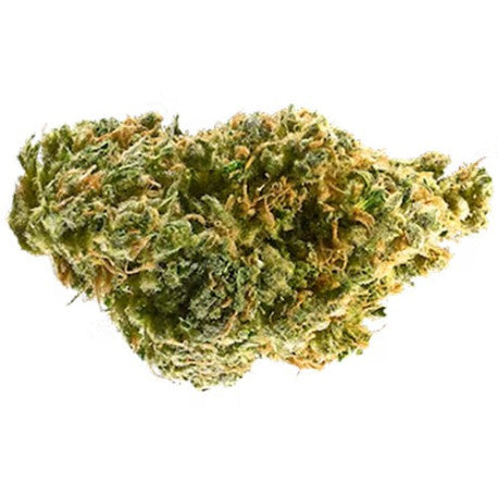 Tangie CBD 13,1 % - Fleur CBD Indoor