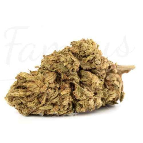 Mango Kush CBD 17,4 % - Fleur CBD Outdoor