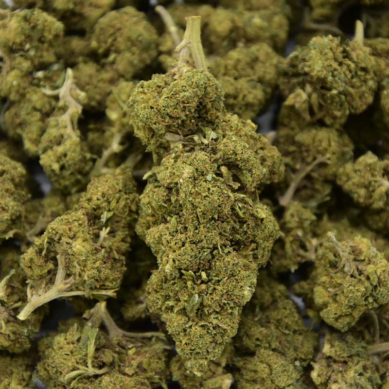 Blue Gelato Indoor - CBD Flower 20%