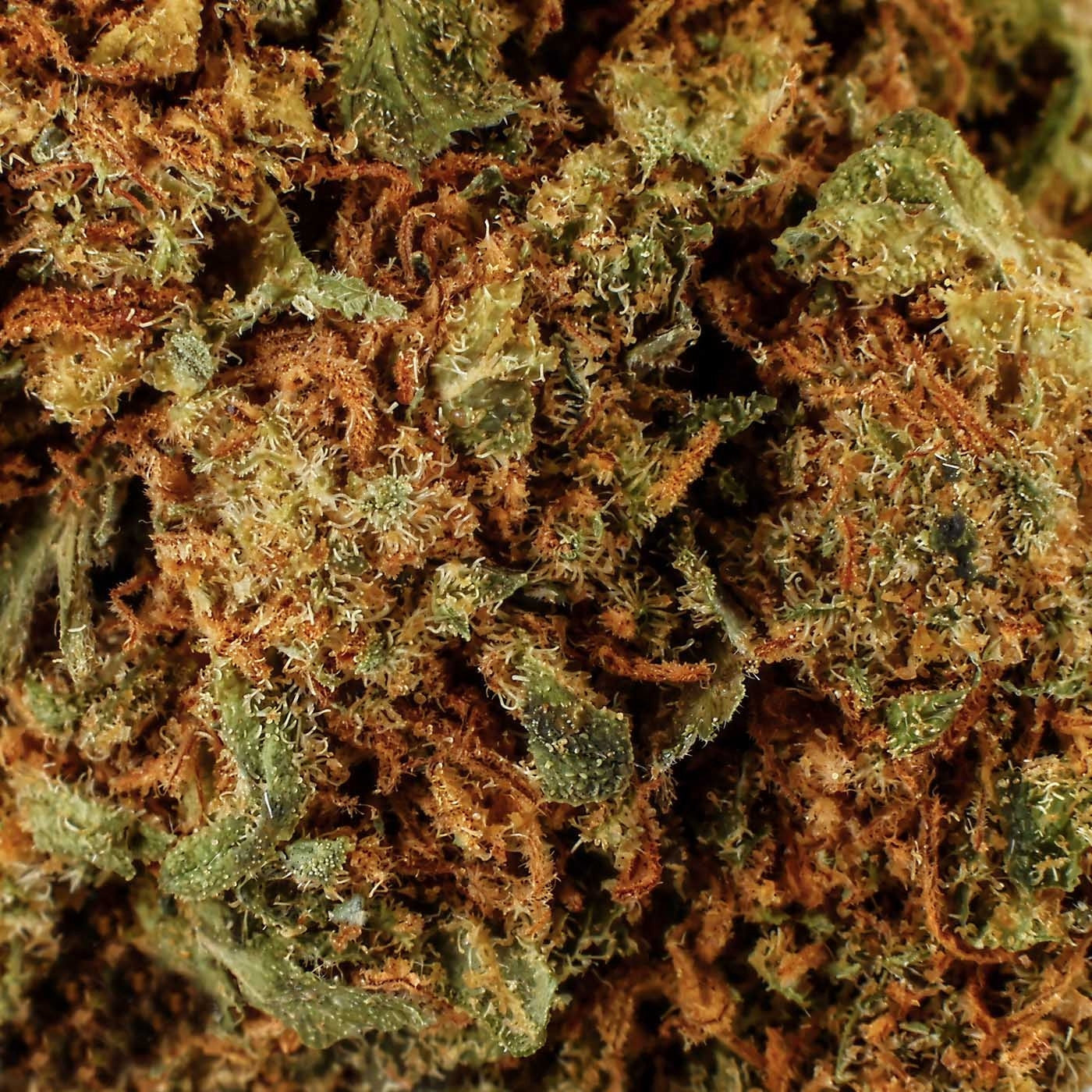 Blue Dream - CBD Flower 17.5%