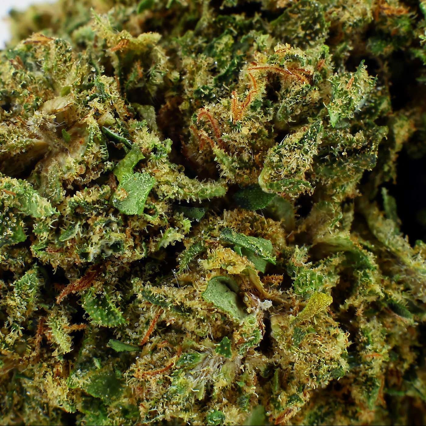 Orange Turbo - Fleur CBD 11,5 %
