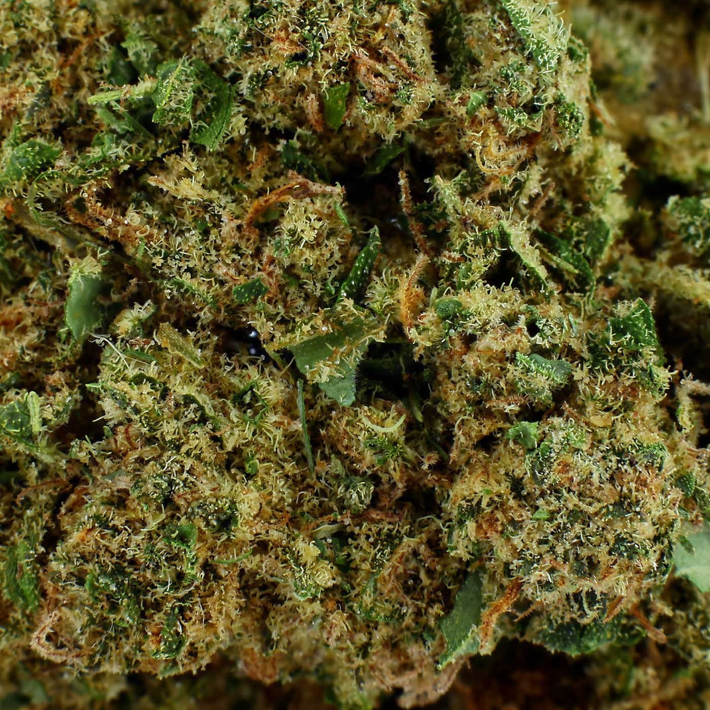 Silver Haze - Fleur CBD 18,3 %