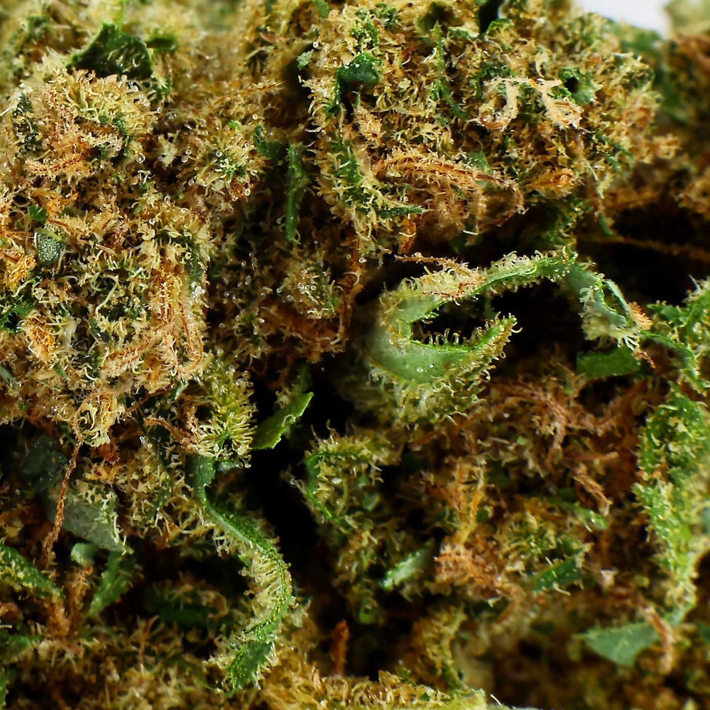 Tangie – CBD-Blüte 13,1%