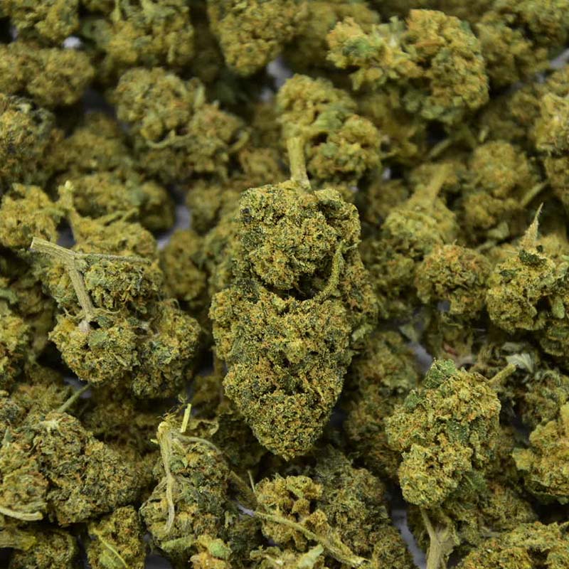 El Patron Indoor - Fleur CBD 22%