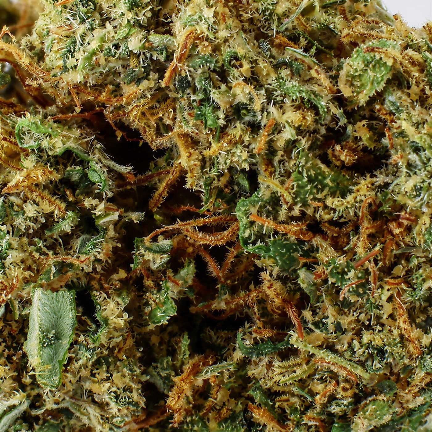 Lemon Haze - CBD Flower 9.7%