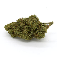 Honey Cream Indoor - Fleur CBD 21%