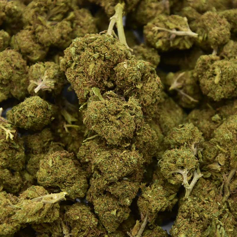 Mandarine Indoor - CBD Flower 19%