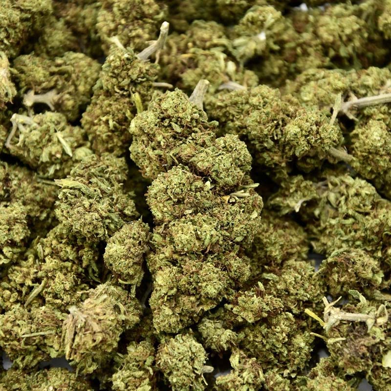 Mimosa - Fleur CBD 23%