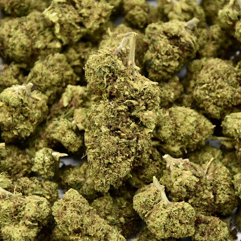 Orangello Indoor - CBD Flower 18%
