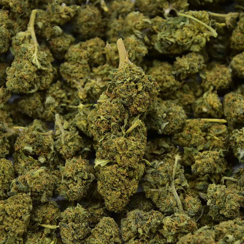 Watermelon Indoor - CBD-Blüte 21%