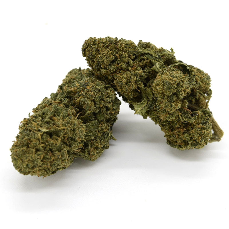 Watermelon Indoor - CBD-Blüte 21%