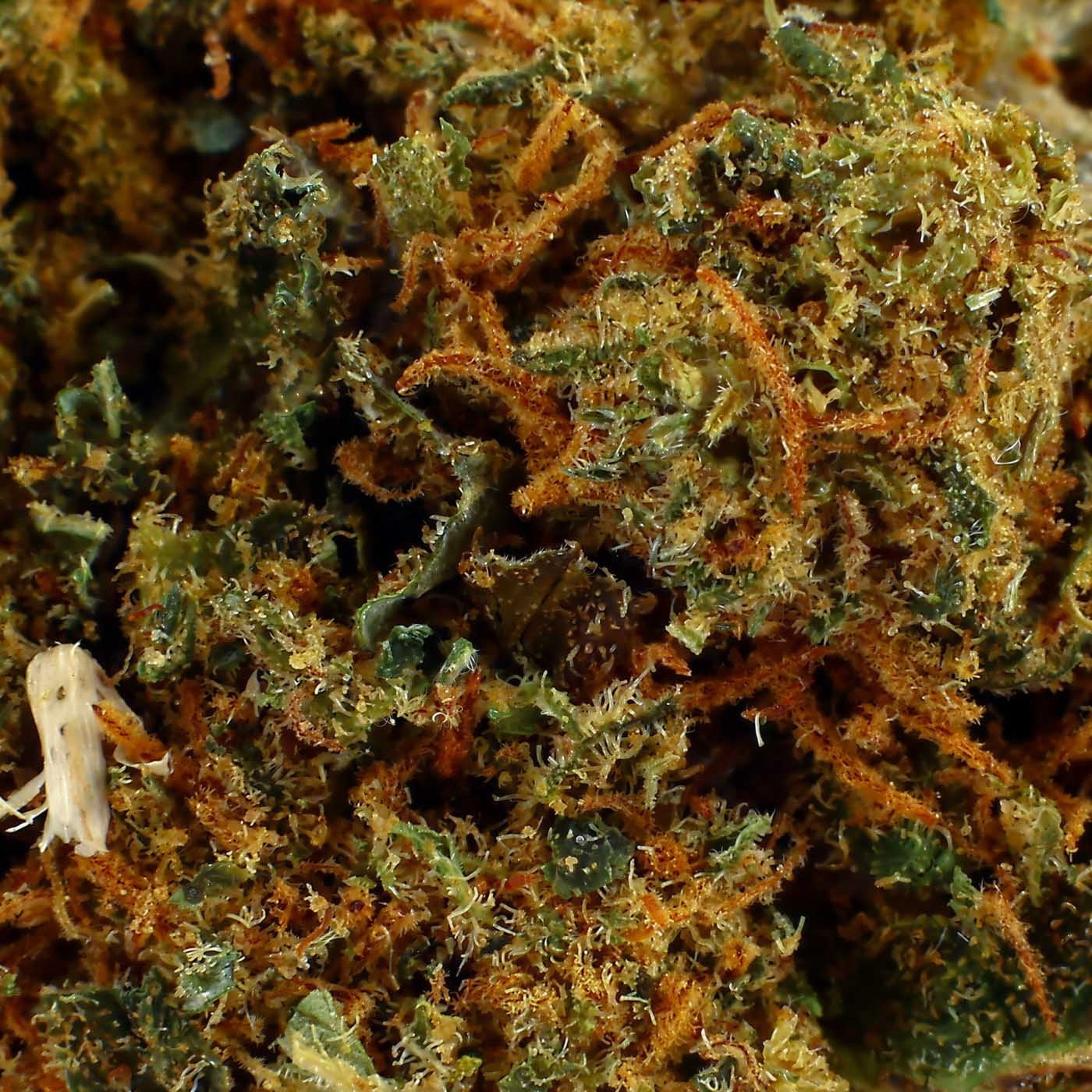 Wedding Cake - CBD Flower 13%