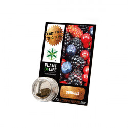 Résine CBD BERRIES 3,8% 1G