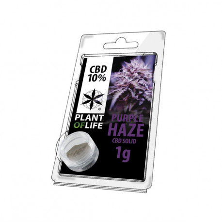 Résine CBD PURPLE HAZE 10% 1G Plant of Life