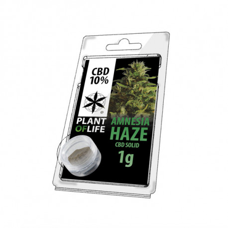 Résine CBD AMNESIA HAZE 10% 1G Plant of Life