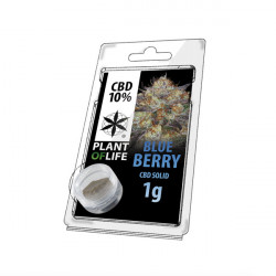 Résine CBD BLUEBERRY 10% 1G Plant of Life