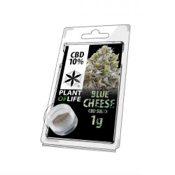 Harz CBD-BLAUER KÄSE 10% 1G Lebenspflanze