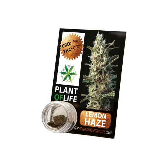 CBD-Harz LEMON HAZE 3,8% 1G Pflanze des Lebens