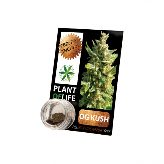 CBD-Harz OG KUSH 3,8% 1G Pflanze des Lebens