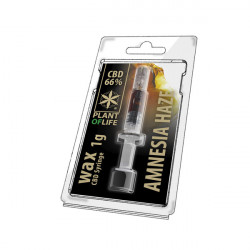 Wachs CBD Amnesie Haze 66% 1ML