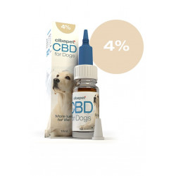 CBD-Öl für Hunde 4%.